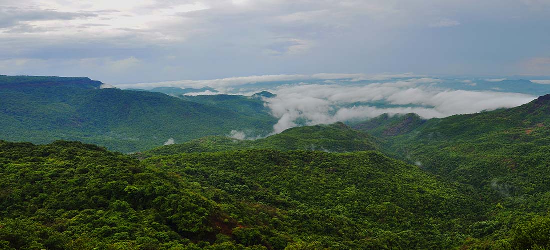 gallery Whistling Woods