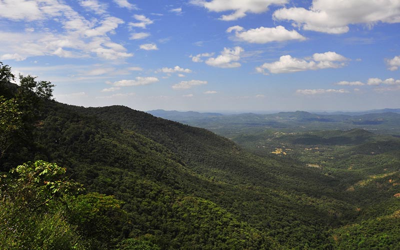 gallery Whistling Woods