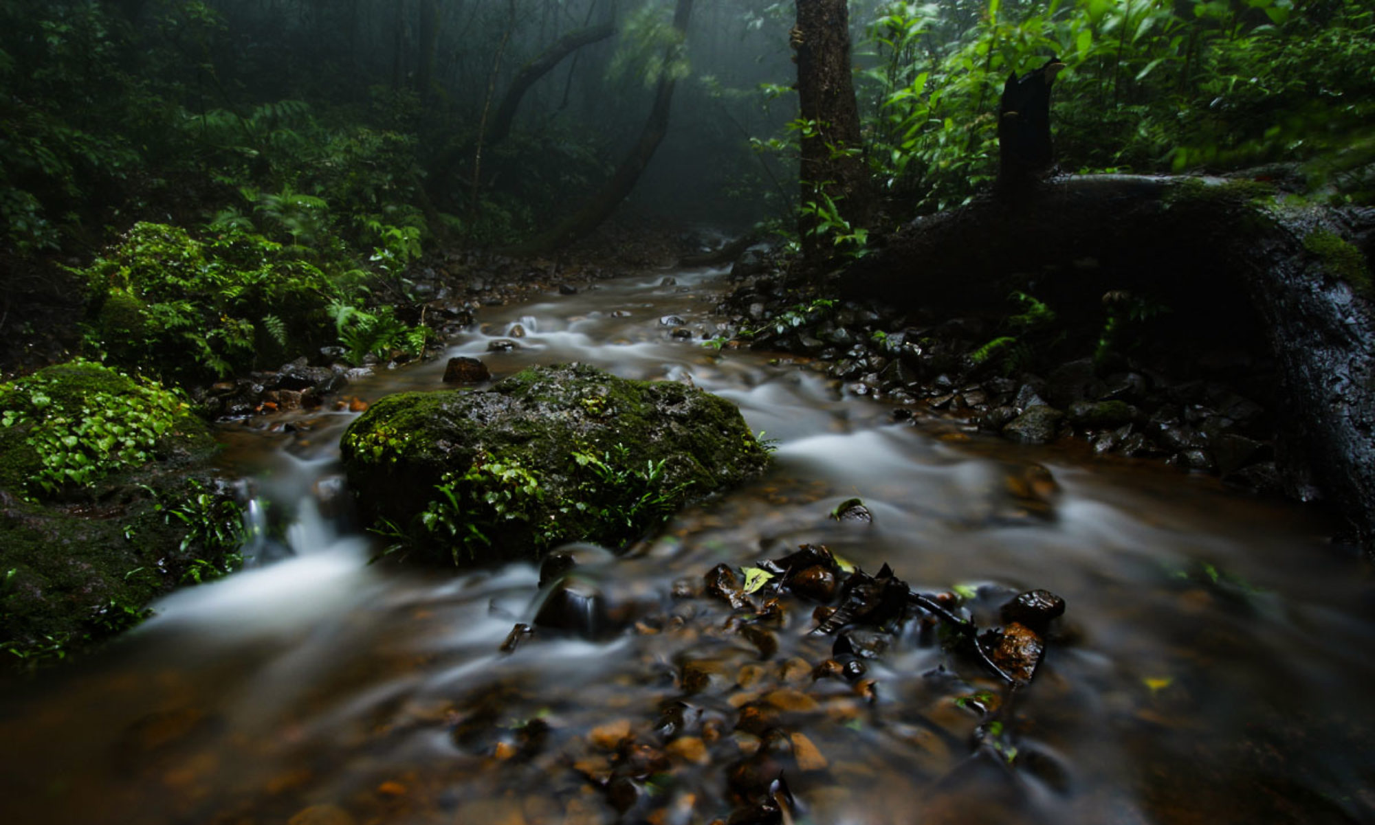 contact us Whistling Woods